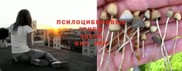 наркотики Дмитриев