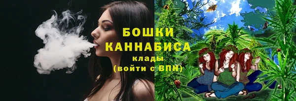 прущая мука Гусиноозёрск