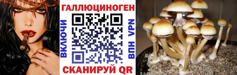 Псилоцибиновые грибы мухоморы Курган